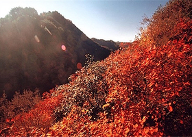 轿顶山红叶风景区