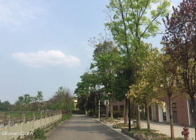 鹤鸣山崇孝温泉颐养中心