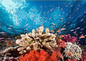 北斗星城极地海洋世界