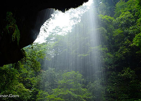 雅安周游卡（碧峰峡+周公山梦温泉）