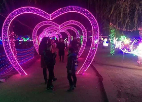 嵩县国际立体灯光节