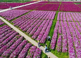 光瑶生态观光园