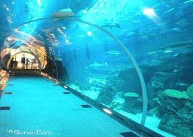 迪拜海底世界