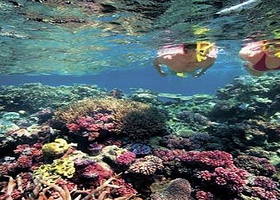 德贝潜水(亚龙湾店)