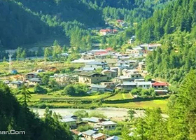 下亚东原始森林