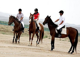 酬勤马术俱乐部
