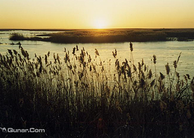 辉河湿地草原旅游度假风景区