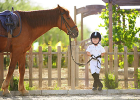 蓝调国际马术俱乐部