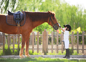 花儿马术俱乐部