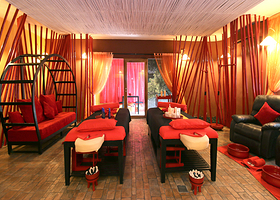 SHISEIDO资生堂-美丽如初SPA