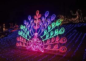 瓦房店市东山公园雪上乐园国际梦幻灯光节