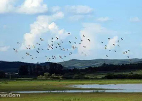 鴜鹭湖生态旅游度假区