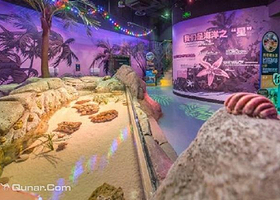 长嘉汇•海洋乐园