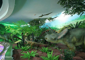 中国桫椤博物馆