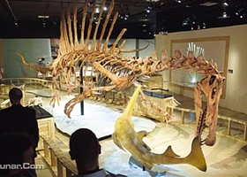 国家地理博物馆