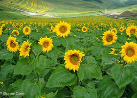 天路塔娜谷游乐园