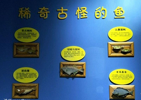 蓬莱渔家民俗文化馆