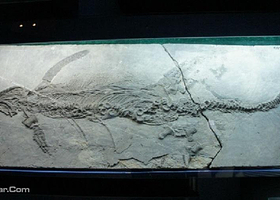 中国地质博物馆本溪馆