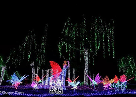 园博园第二届梦幻灯光节