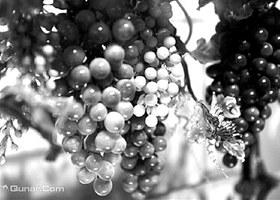 博山琉璃博物馆