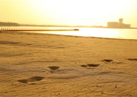 鼓浪沙滩猫爪温泉