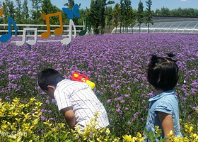 七彩蝶戏水乐园