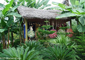 蝴蝶来野生态艺术园