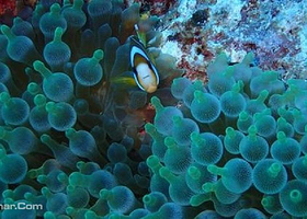 垦丁森林旅游区