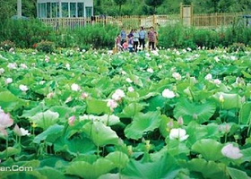 蓬莱仙界大景区