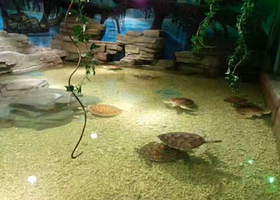 宁乡海立方酷比克海洋公园