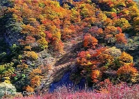 生态大坪（成都小丹巴）