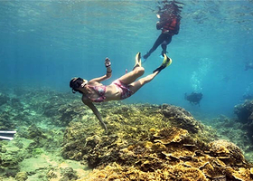 海贼王潜水中心