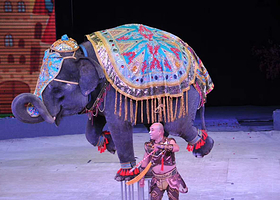 第16届中国吴桥国际杂技节暨马戏嘉年华