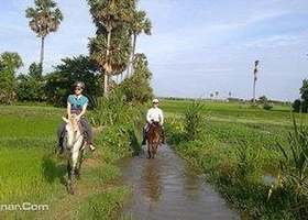 暹粒开心牧马场
