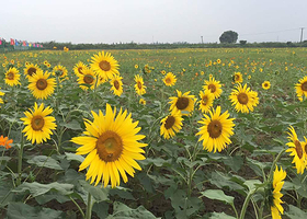 翠洲芳谷亲子文化园