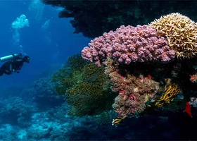 太阳湾海洋运动