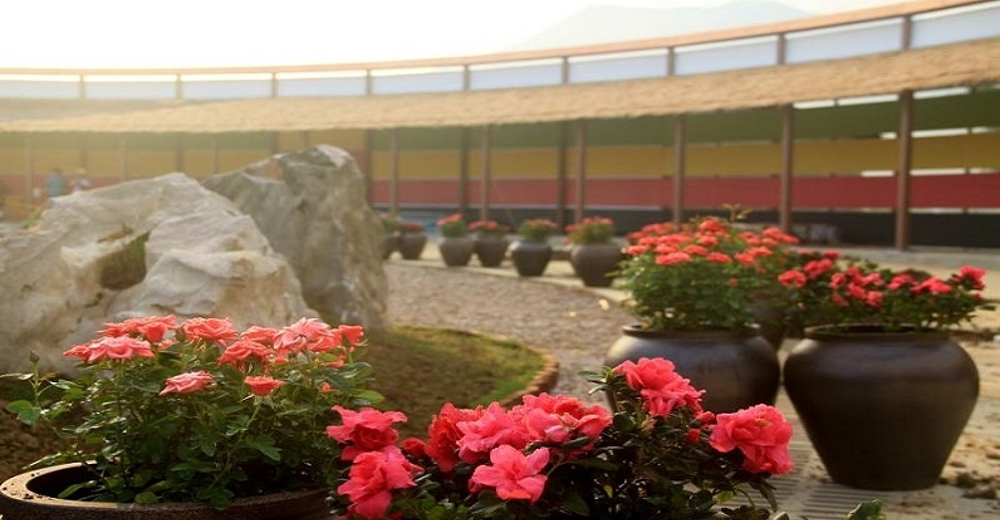 【春节预售】广德太极洞景区 太极五色谷景区 成人联票