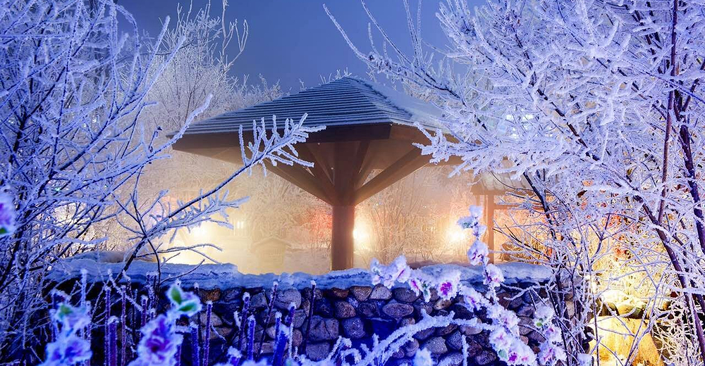 大庆林甸北国温泉成人票