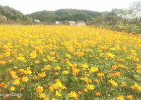 湘潭梅林桥农业公园游乐园