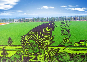 西洞庭稻野寻湘主题乐园