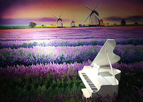 阜阳5D星空艺术体验馆