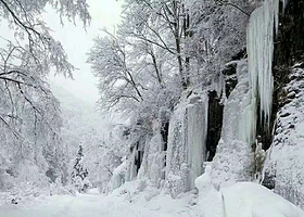 长白山林海穿越