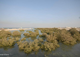 AI Dakhira自然保护区