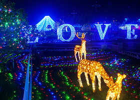 2018吕梁巴黎灯光秀