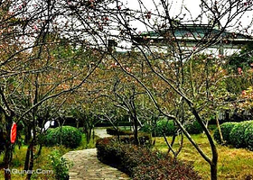 重庆平顶山公园