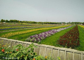 五厍农业休闲观光园