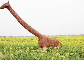 广东佛山宝苞农场