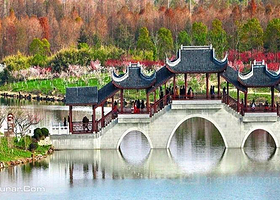 海岛国家森林公园