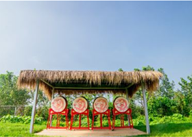 林海湾丛林乐园