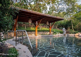 紫清湖狮子星乐园